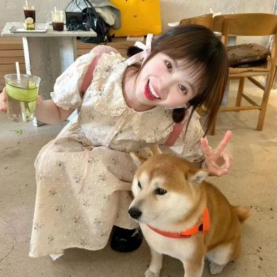 橘子不是唯一的水果第一季